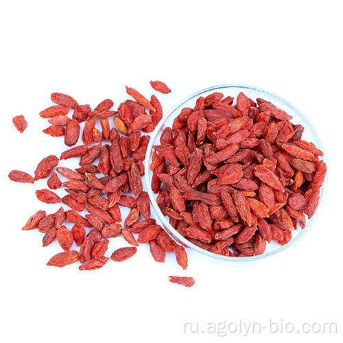 Сушеный Wolfberry Lycium Barbarum Goji Berry на продажу